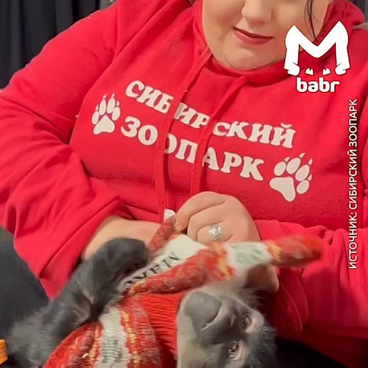 ���������� � �������� ������? � ���� ����� �� ���������� �������� � ���