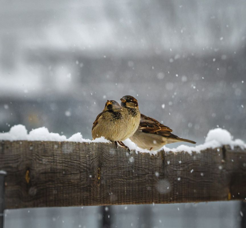 Доброе утро, Иркутская область!