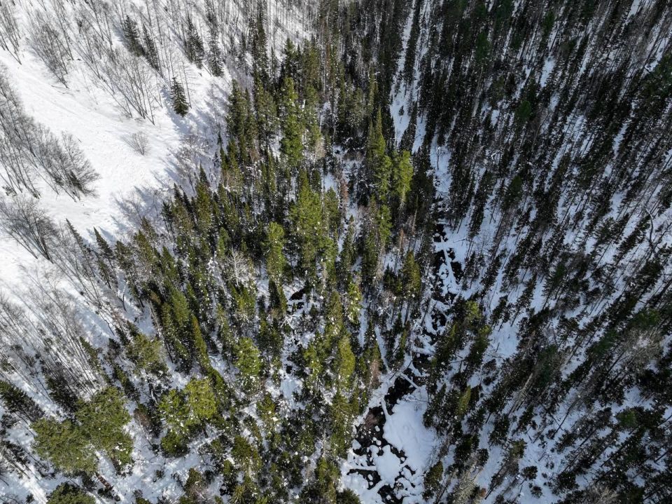 ��� ����� ��������� ������ ���� ���� � ���������� ����������