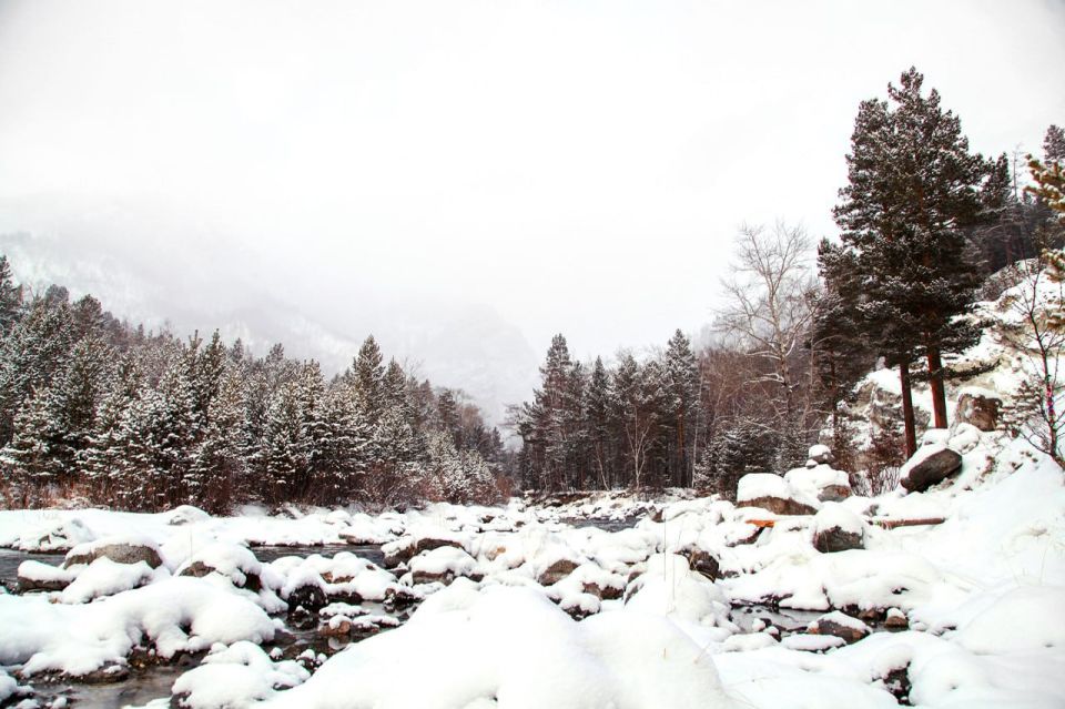 � ������ ���� ����. ����� :