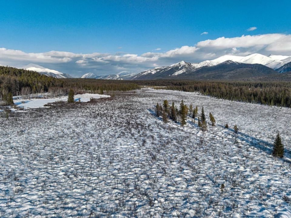 ��� ����� ��������� ������ ���� ���� � ���������� ����������