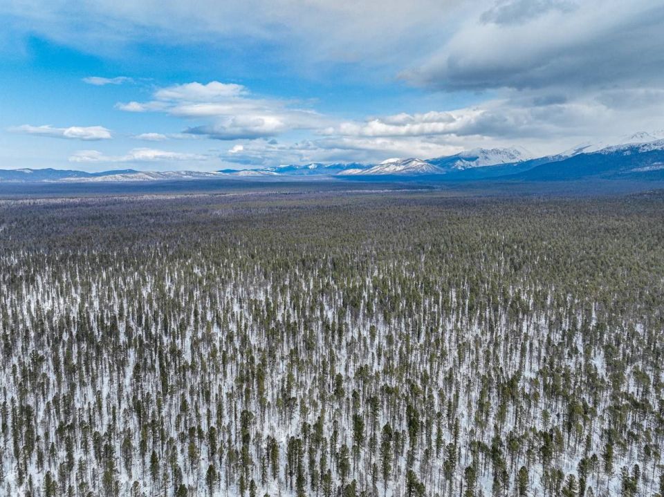 ��� ����� ��������� ������ ���� ���� � ���������� ����������