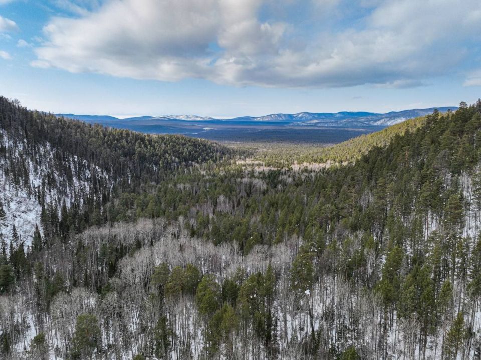 ��� ����� ��������� ������ ���� ���� � ���������� ����������