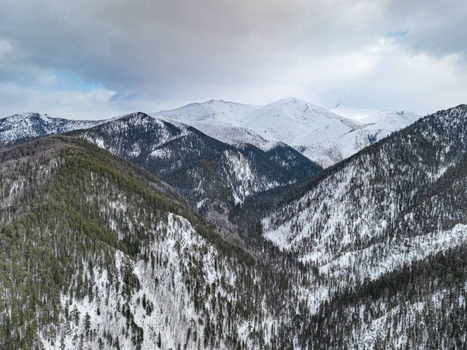 Вот такой сказочный первый день зимы в Заповедном Подлеморье