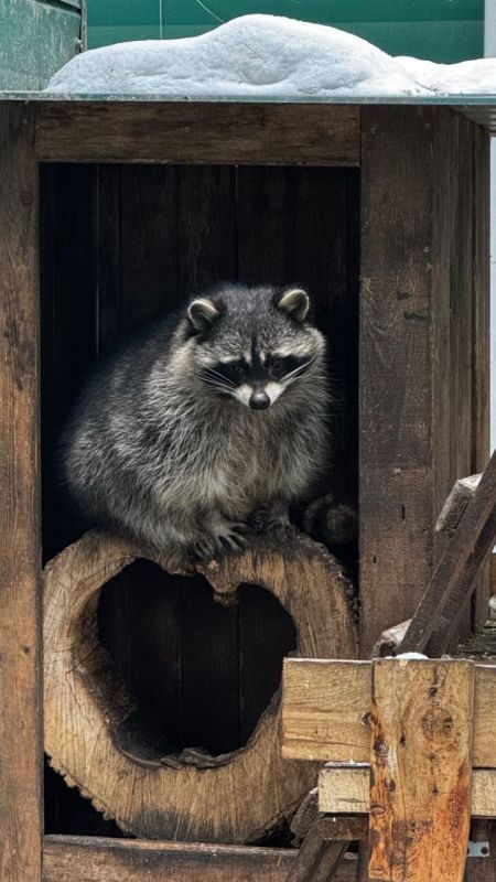 Ух, кажется сегодня в Иркутск действительно пришла зима: за бортом днем до -29