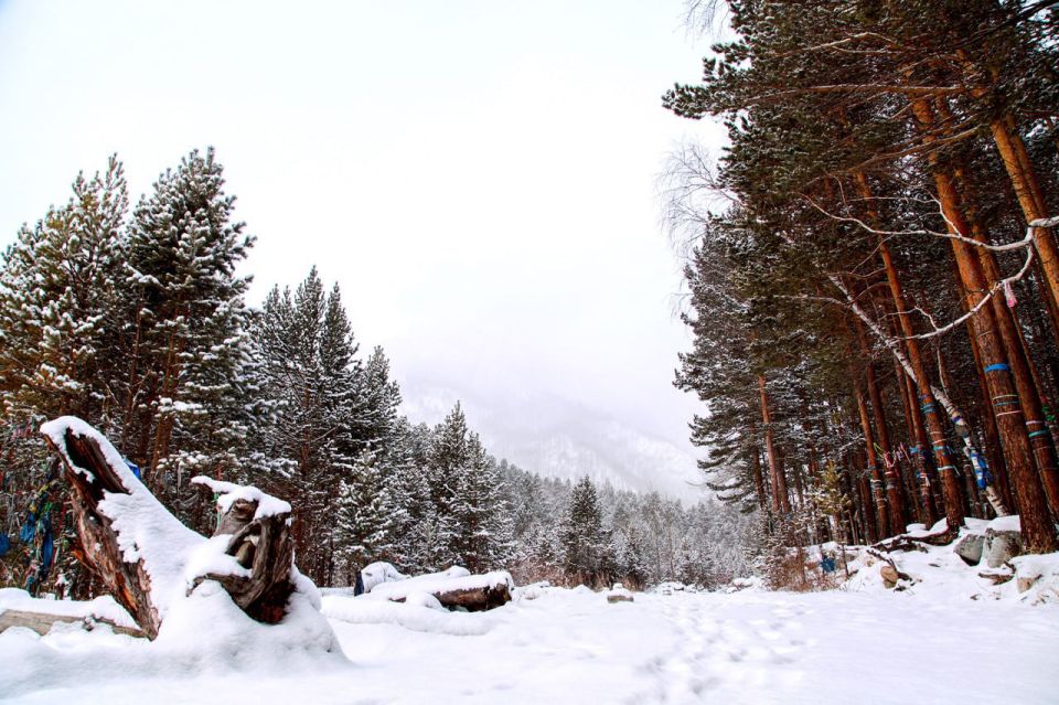 � ������ ���� ����. ����� :