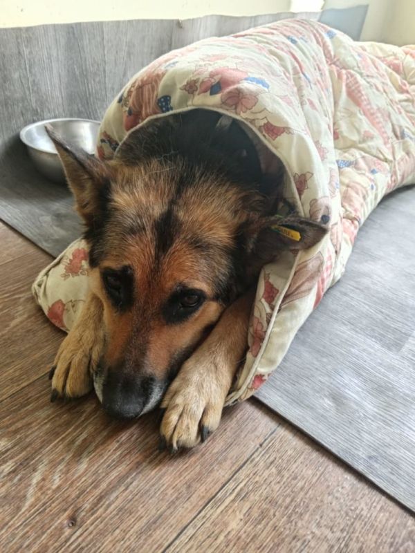 Давайте меняться. Где в Иркутске можно сдать одежду и предметы обихода? «Люди приходят сюда снова и радуются, когда узнают, что принесенное ими уже забрали. Так наш проект помогает расхламляться, существенно экономить и... Давайте меняться. Где в Иркутске можно сдать одежду и предметы обихода? «Люди приходят сюда снова и радуются, когда узнают, что принесенное ими уже забрали. Так наш проект помогает расхламляться, существенно экономить и...