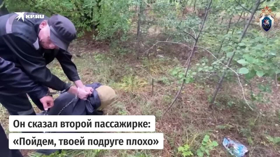 Августовская ночь в лесу под Ангарском