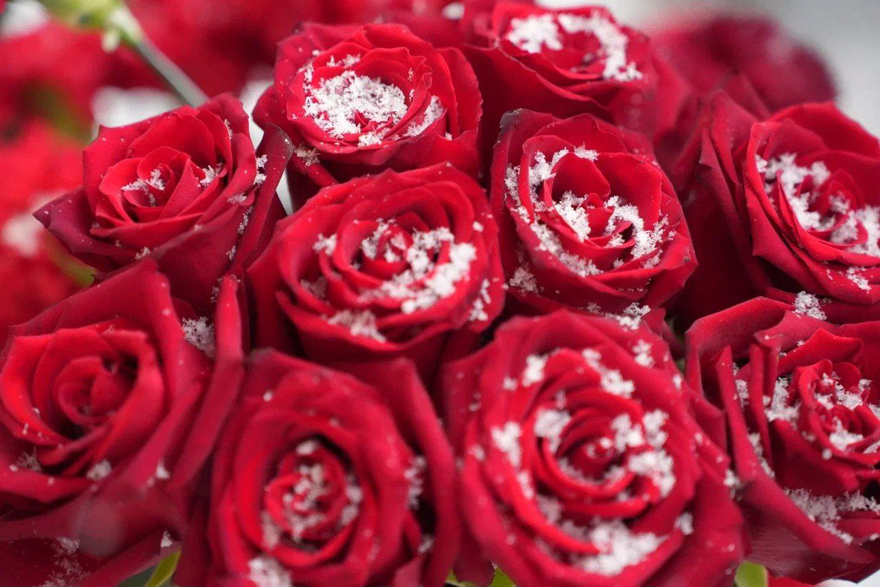 Память выпускника школы 26, участника СВО Михаила Зуева увековечили в Иркутске Память выпускника школы 26, участника СВО Михаила Зуева увековечили в Иркутске