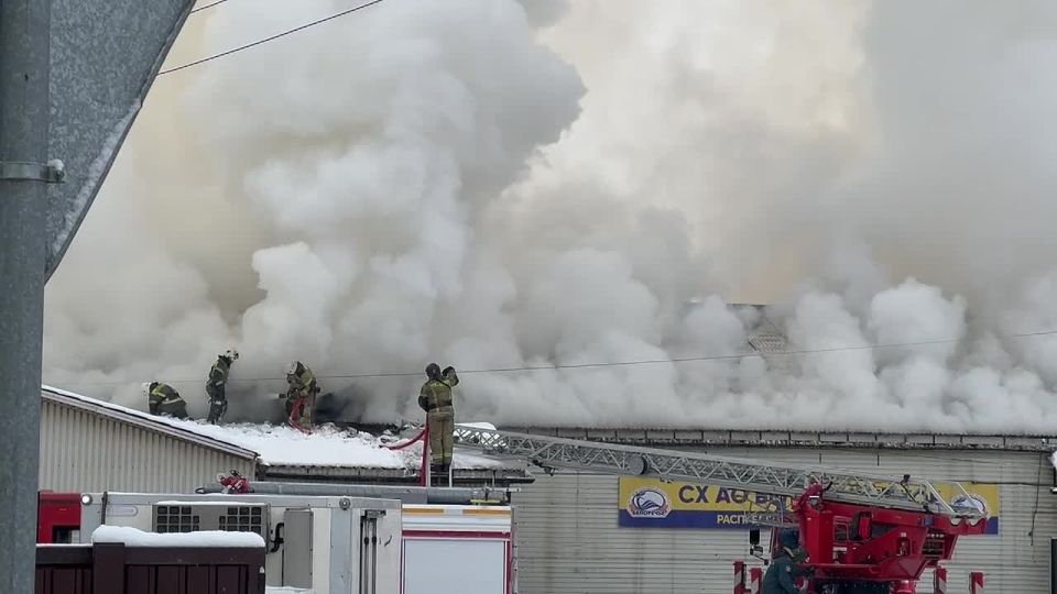 Вчера пробка, сегодня пожар