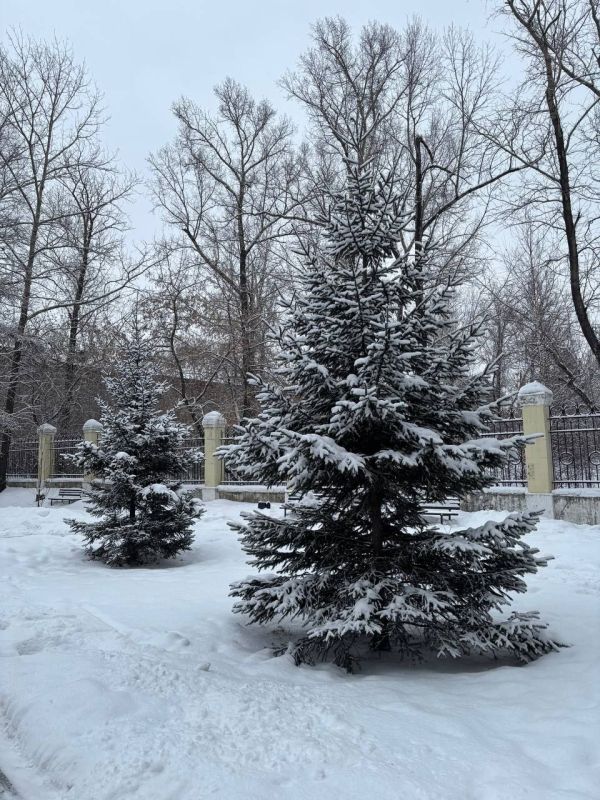 ������ ������ ��� � ����� ��� �������� ����������� ����������