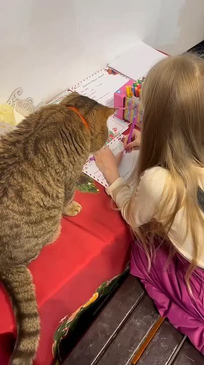 Сегодня, 4 декабря — День заказов подарков и написания писем Деду Морозу