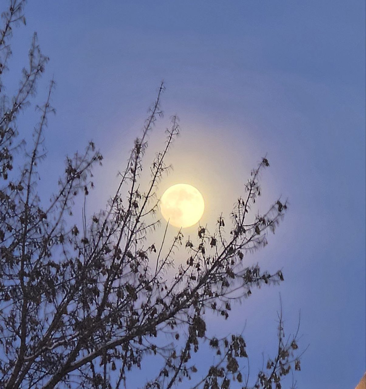 "Холодная Луна". Полнолуние, известное как "холодная" Луна, наступит в ночь на 5 декабря 2025 года, с пиком в 02:15 по московскому времени