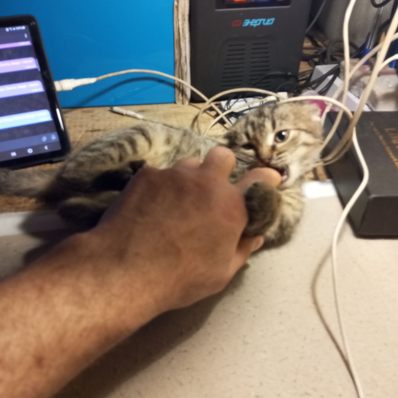 Фронтовые заметки. Как вы лодку назовёте…