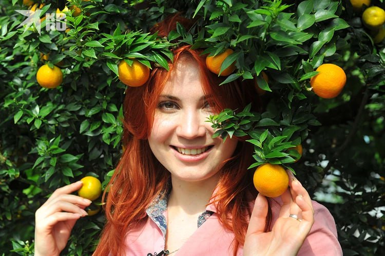 Мандарины помогают против хандры: о пользе любимого новогоднего цитруса