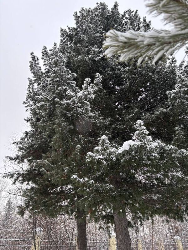 ������ ������ ��� � ����� ��� �������� ����������� ����������