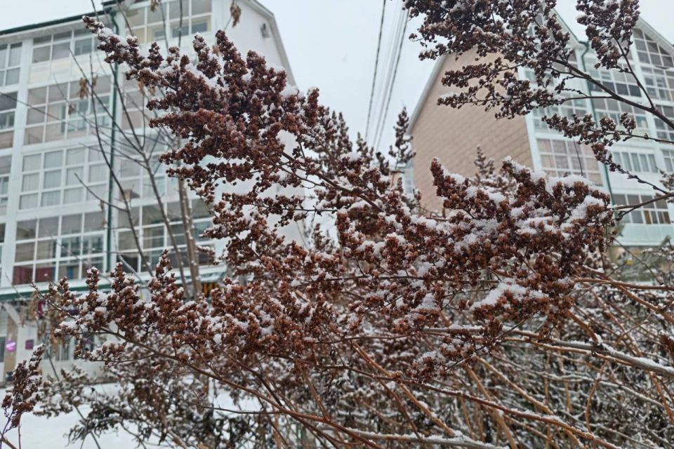 Доброе утро, Иркутск. Вот и наступила долгожданная пятница! Сегодня в городе пройдет небольшой снег, воздух прогреется до -4…-6 градусов