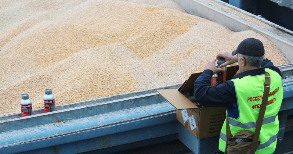 На 16% вырос экспорт зерновых и масличных культур из Иркутской области в 2025 году