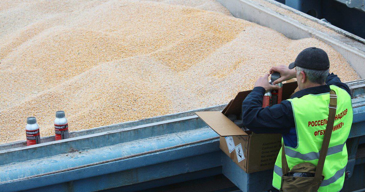 На 16% вырос экспорт зерновых и масличных культур из Иркутской области в 2025 году