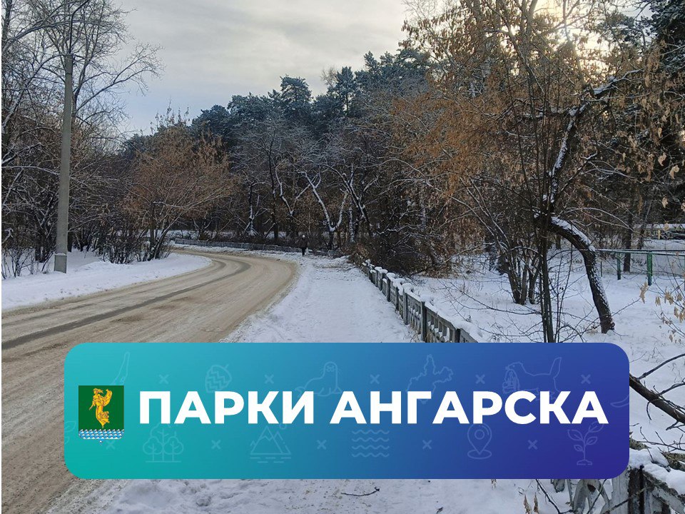 #ПаркиАнгарска. Специалисты муниципального учреждения «Парки Ангарска» продолжают обрезку сухих и аварийных деревьев