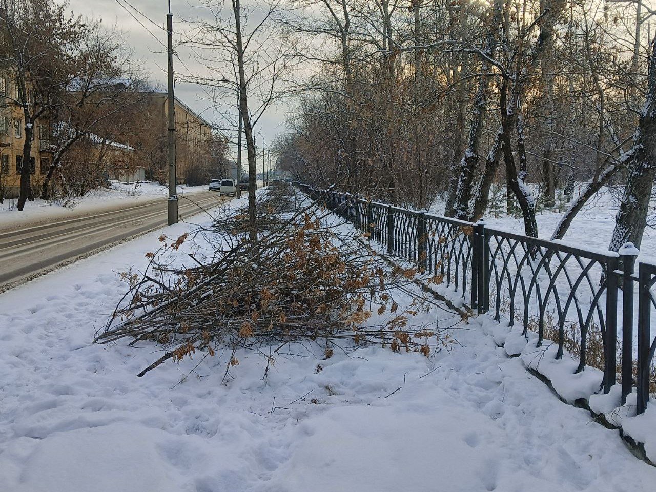 #ПаркиАнгарска. Специалисты муниципального учреждения «Парки Ангарска» продолжают обрезку сухих и аварийных деревьев #ПаркиАнгарска. Специалисты муниципального учреждения «Парки Ангарска» продолжают обрезку сухих и аварийных деревьев
