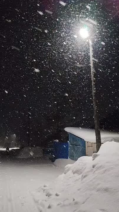 #нампишут. "Р. П. Мама, вечер