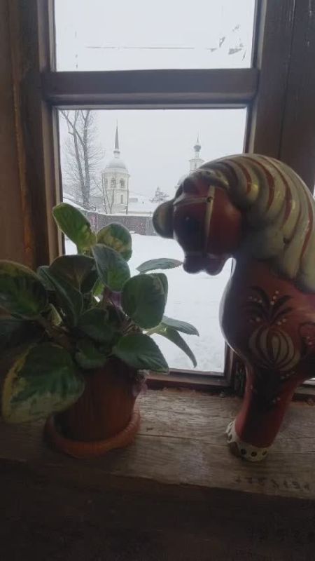 Вот и первые выходные декабря