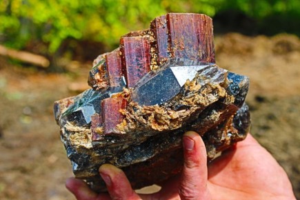 :    ,      ,       :     .. !