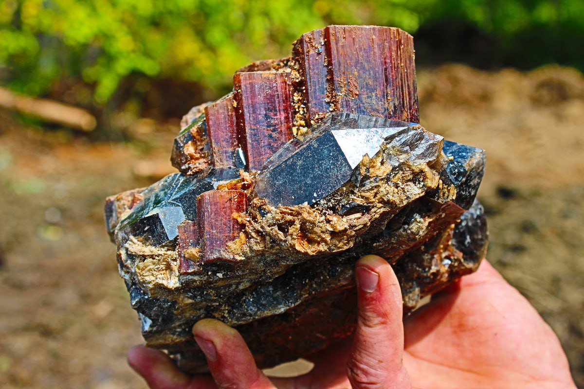 Говорят: «Камень лежа мхом обрастает», чтобы не пролежать все выходные дома, зовем вас на новую выставку «След Малхана: турмалин Забайкалья» в Усадьбу В.П. Сукачёва!