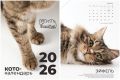 «Купите календарь и обеспечьте кормом»: модная фотосессия станет спасением для 250 кошек из приюта