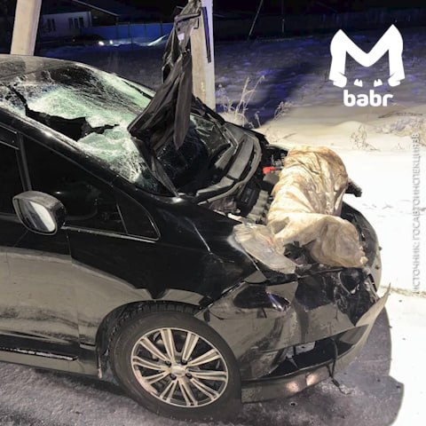 Водитель сбил трёх человек и сбежал с места аварии в Иркутской области Водитель сбил трёх человек и сбежал с места аварии в Иркутской области