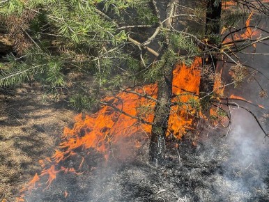 Правительство РФ выделило порядка 2,6 млрд руб