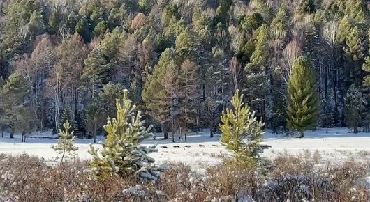 Доброе утро, Иркутская область!