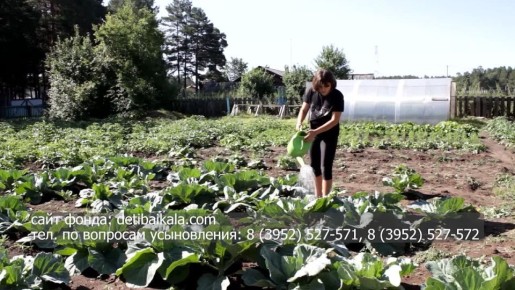 Друзья, напоминаем, что в нашей программе выходит замечательная рубрика «Подари ребенку семью»