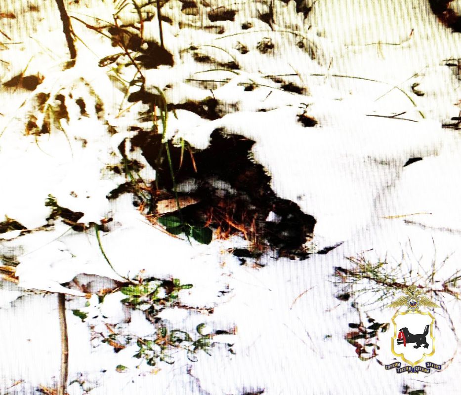 � ������� ��� ���������� � ������� ������� �������� �������� �� ��������� �� ���� ����������