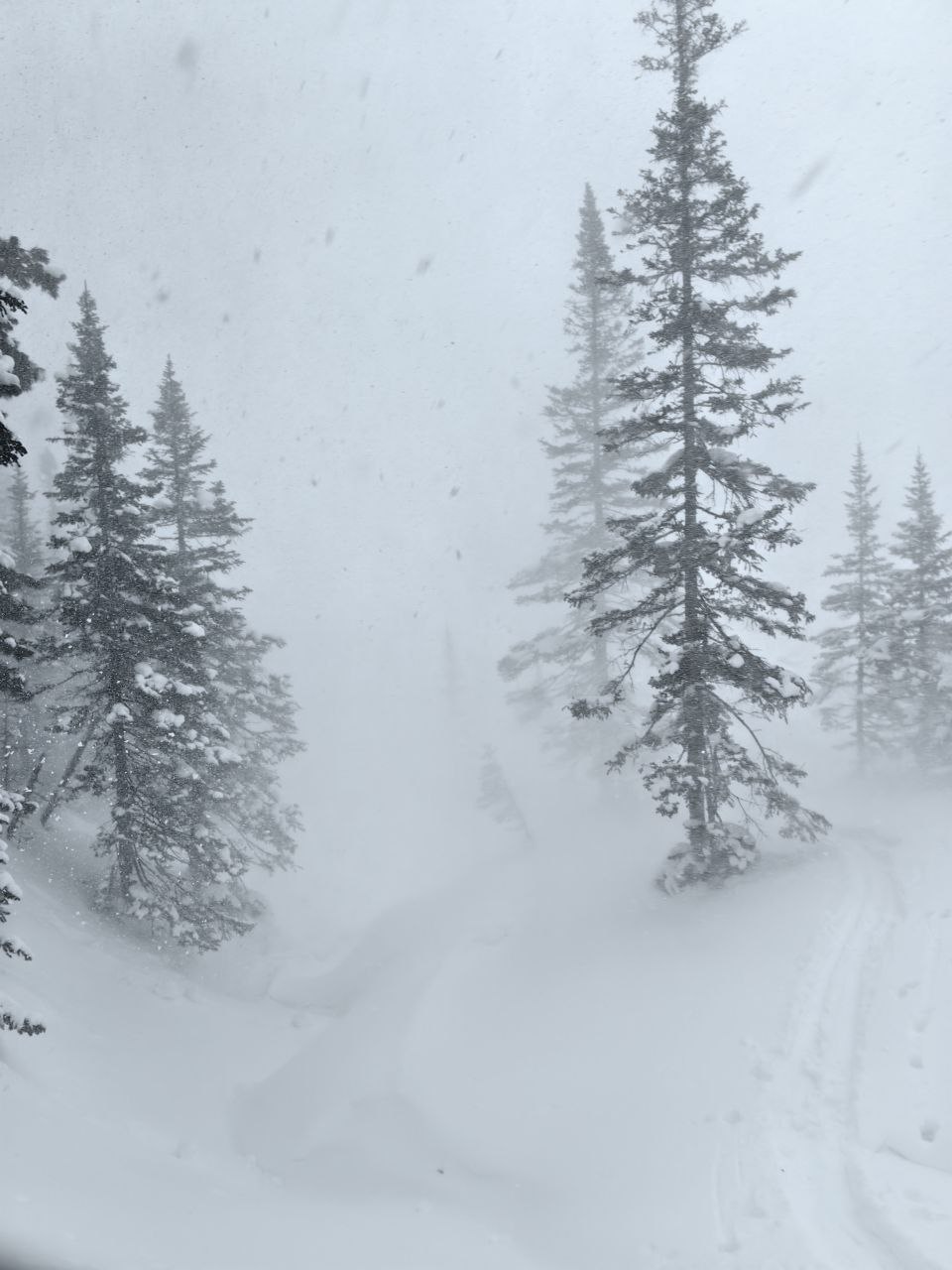 На Мамае сегодня снежно. Напомним, сегодня днём по области ожидаются порывы сильного западного и северо-западного ветра 15-17 м/с, снег, метели