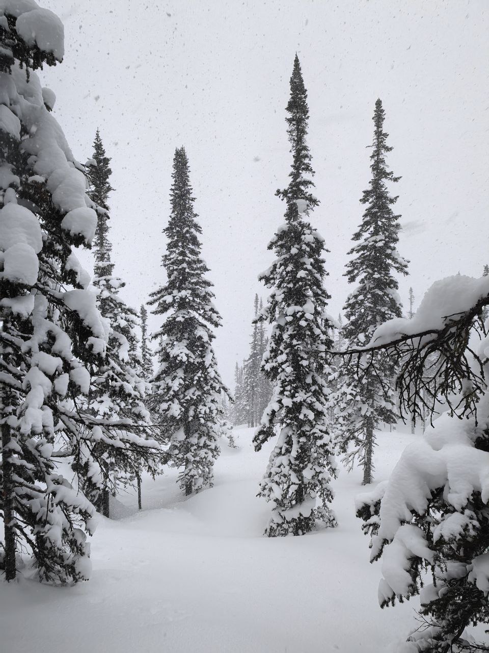 На Мамае сегодня снежно. Напомним, сегодня днём по области ожидаются порывы сильного западного и северо-западного ветра 15-17 м/с, снег, метели На Мамае сегодня снежно. Напомним, сегодня днём по области ожидаются порывы сильного западного и северо-западного ветра 15-17 м/с, снег, метели