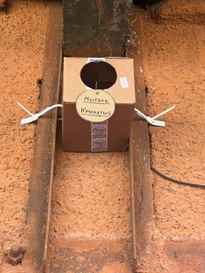 Бюджетный МотЭль для птиц замечен в Ангарске