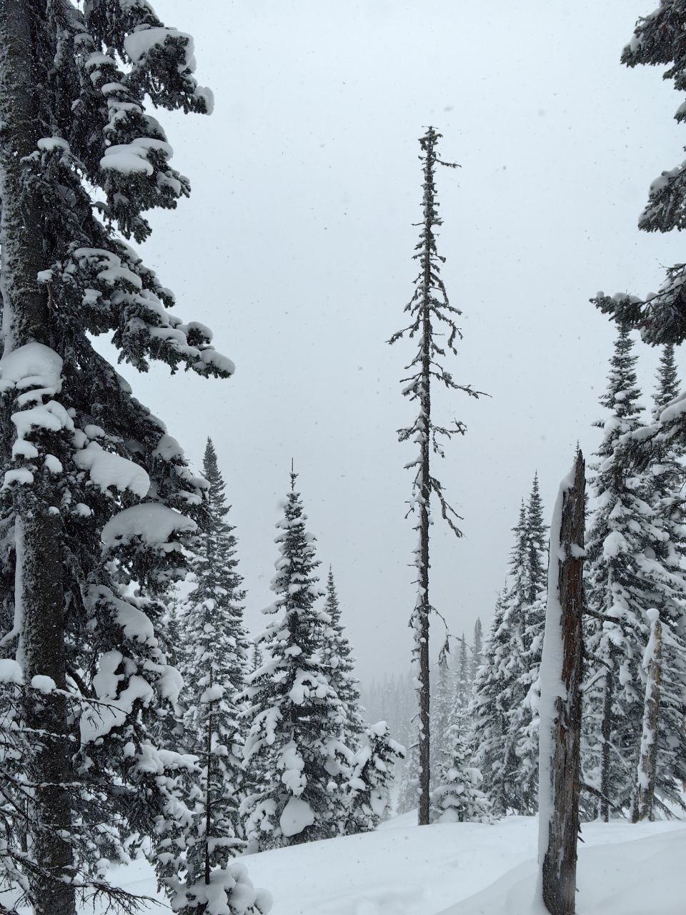 На Мамае сегодня снежно. Напомним, сегодня днём по области ожидаются порывы сильного западного и северо-западного ветра 15-17 м/с, снег, метели На Мамае сегодня снежно. Напомним, сегодня днём по области ожидаются порывы сильного западного и северо-западного ветра 15-17 м/с, снег, метели