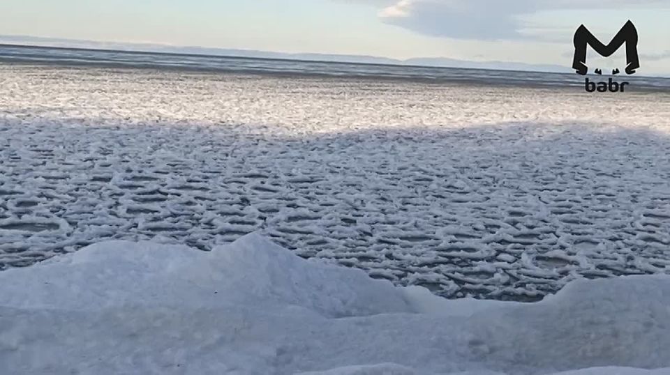 Ледяные кувшинки декабрьского Байкала