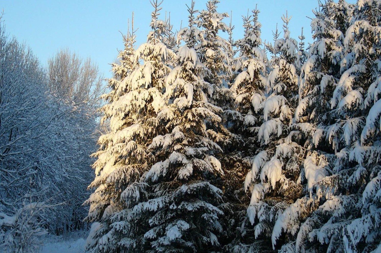 В государственном архиве Иркутской области открылась выставка,посвященная 200-летию со дня восстания декабристов «Декабристы: Сибирь как судьба» В государственном архиве Иркутской области открылась выставка,посвященная 200-летию со дня восстания декабристов «Декабристы: Сибирь как судьба»