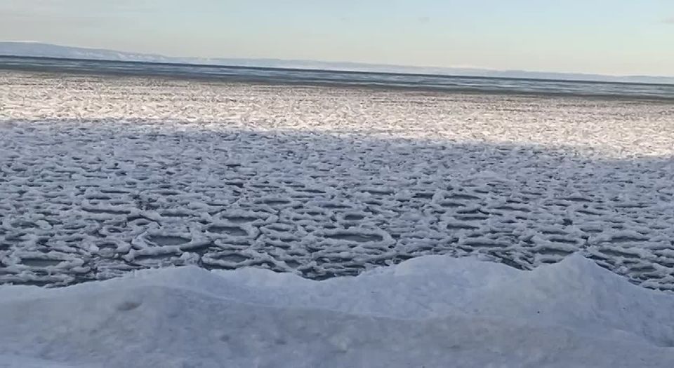 На Байкале появились ледяные «лотосы»