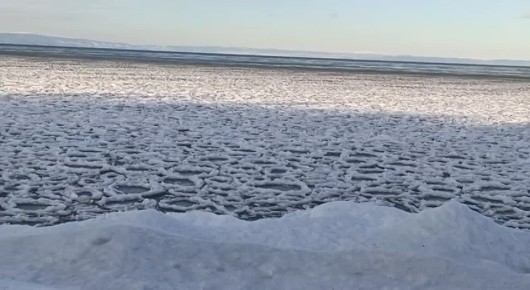 На Байкале появились ледяные «лотосы»