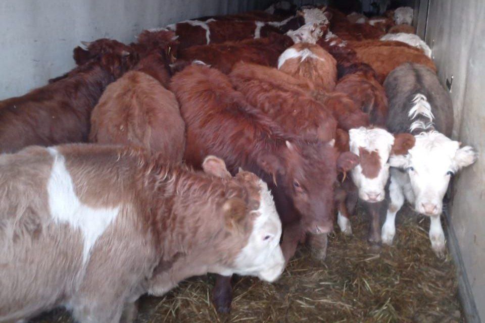 ����� 1,4 ���. ����� �������� �������� ����� �������� ��������� ������ � ��������� ������� �� �������