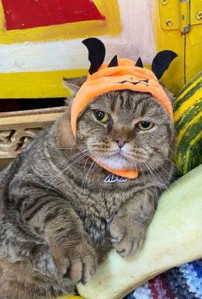 Похолодало в городе: -20°