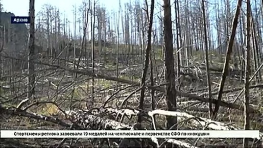 Госдума в окончательном чтении приняла закон об охране озера Байкал