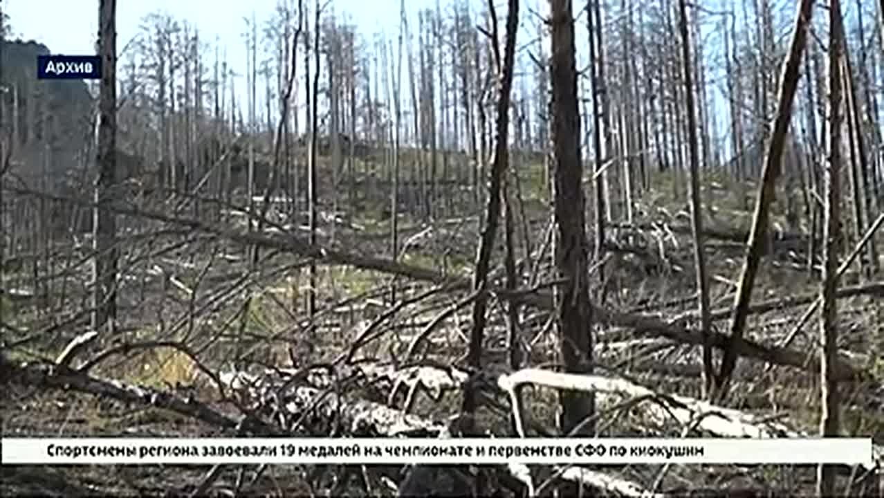 Госдума в окончательном чтении приняла закон об охране озера Байкал