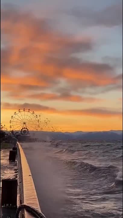 ������ ������. �����: �������� ��������