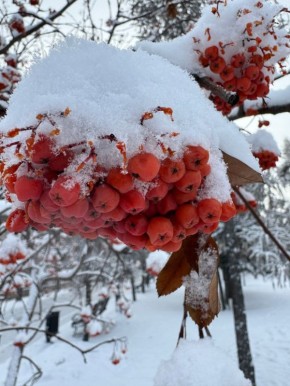 #нампишут:. Снежный и морозный Иркутск