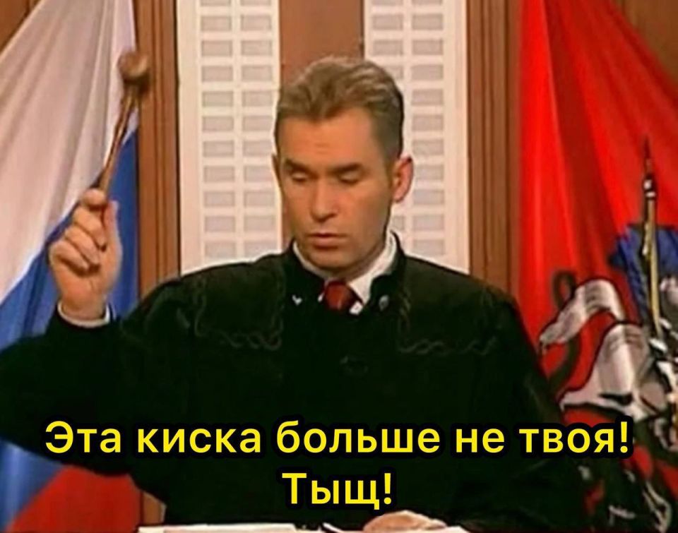 Битва за кошку случилась между бывшими в ангарском суде